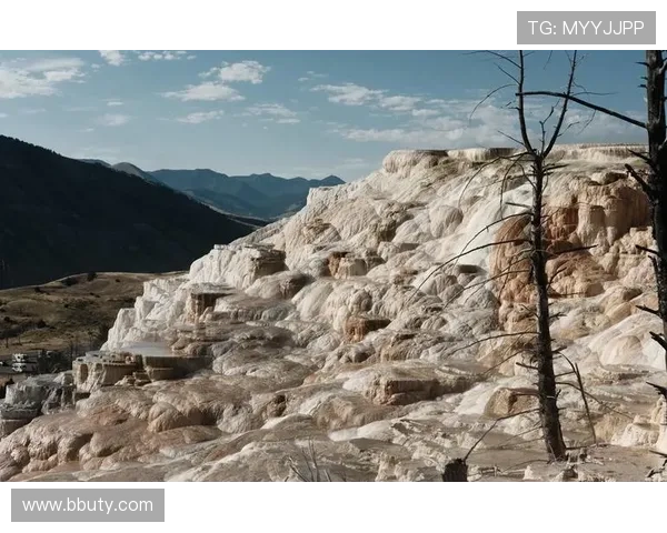 巴拉纳直播：探索南美自然奇观的视觉盛宴